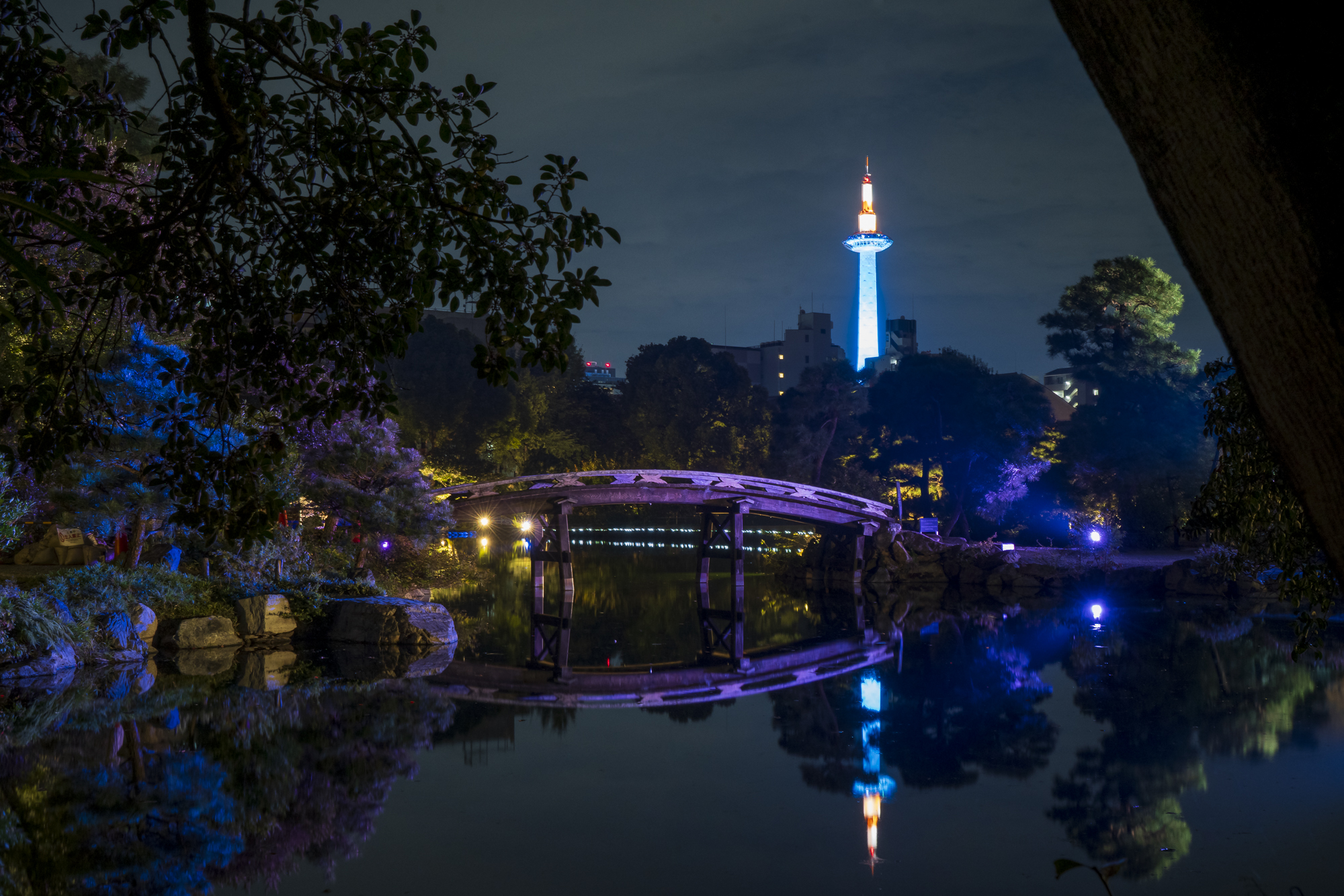 2024年 夜間特別拝観 渉成園 秋灯り