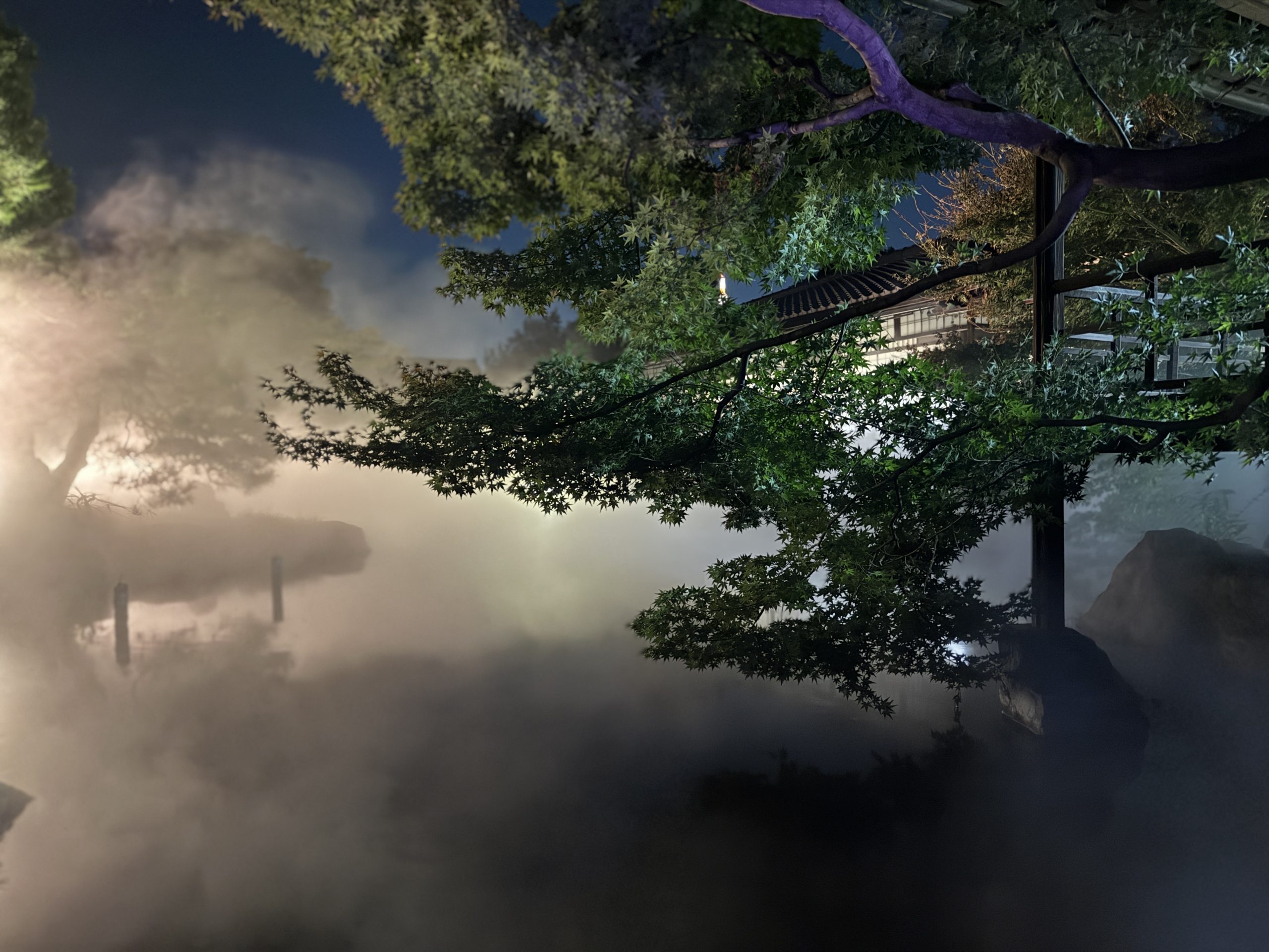 2025年 夜間特別拝観 渉成園 秋灯り